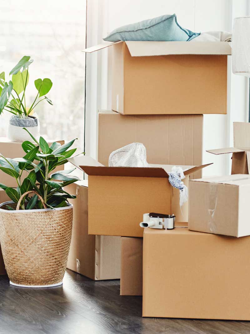 Packed Boxes